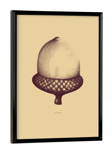 Poster mit schwarzem Rahmen "Beautiful acorn yellow" artboxONE - Natur,Floral