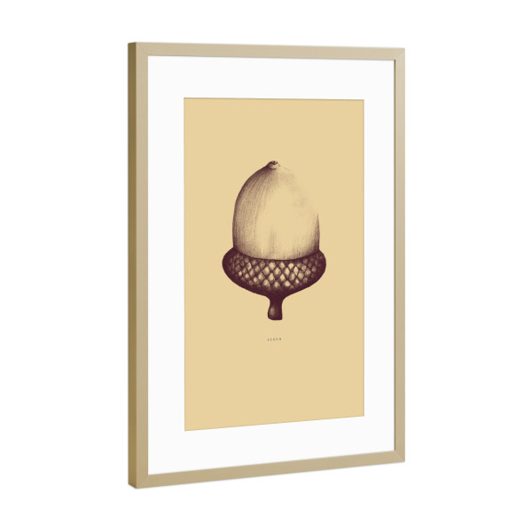 Poster mit Rahmen Gold "Beautiful acorn yellow" artboxONE - Natur,Floral
