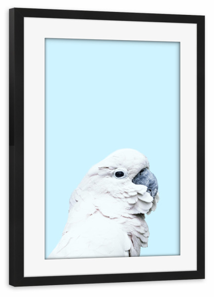 Poster mit Rahmen schwarz "Blue Parrot" artboxONE - Für Kinder,Tiere