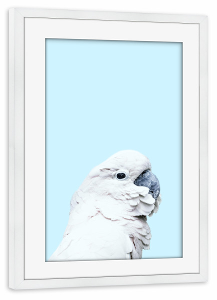 Poster mit Rahmen weiß "Blue Parrot" artboxONE - Für Kinder,Tiere