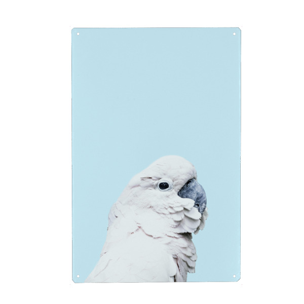 Holzbild "Blue Parrot" artboxONE - Für Kinder,Tiere