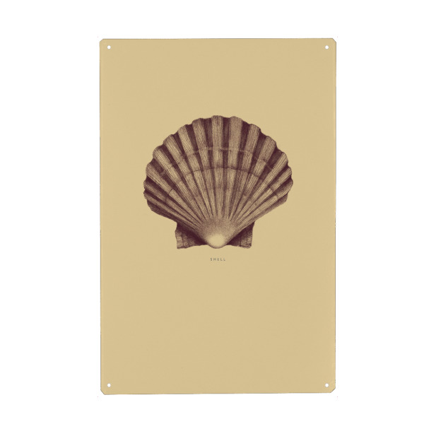 Holzbild "Beautiful shell yellow" artboxONE - Unterwasser