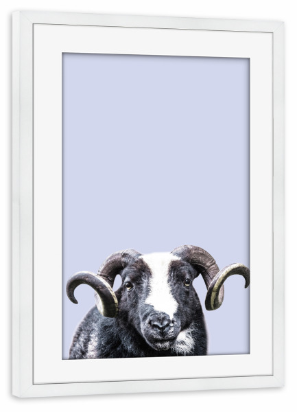 Poster mit Rahmen weiß "Purple R.A.M" artboxONE - Für Kinder,Tiere