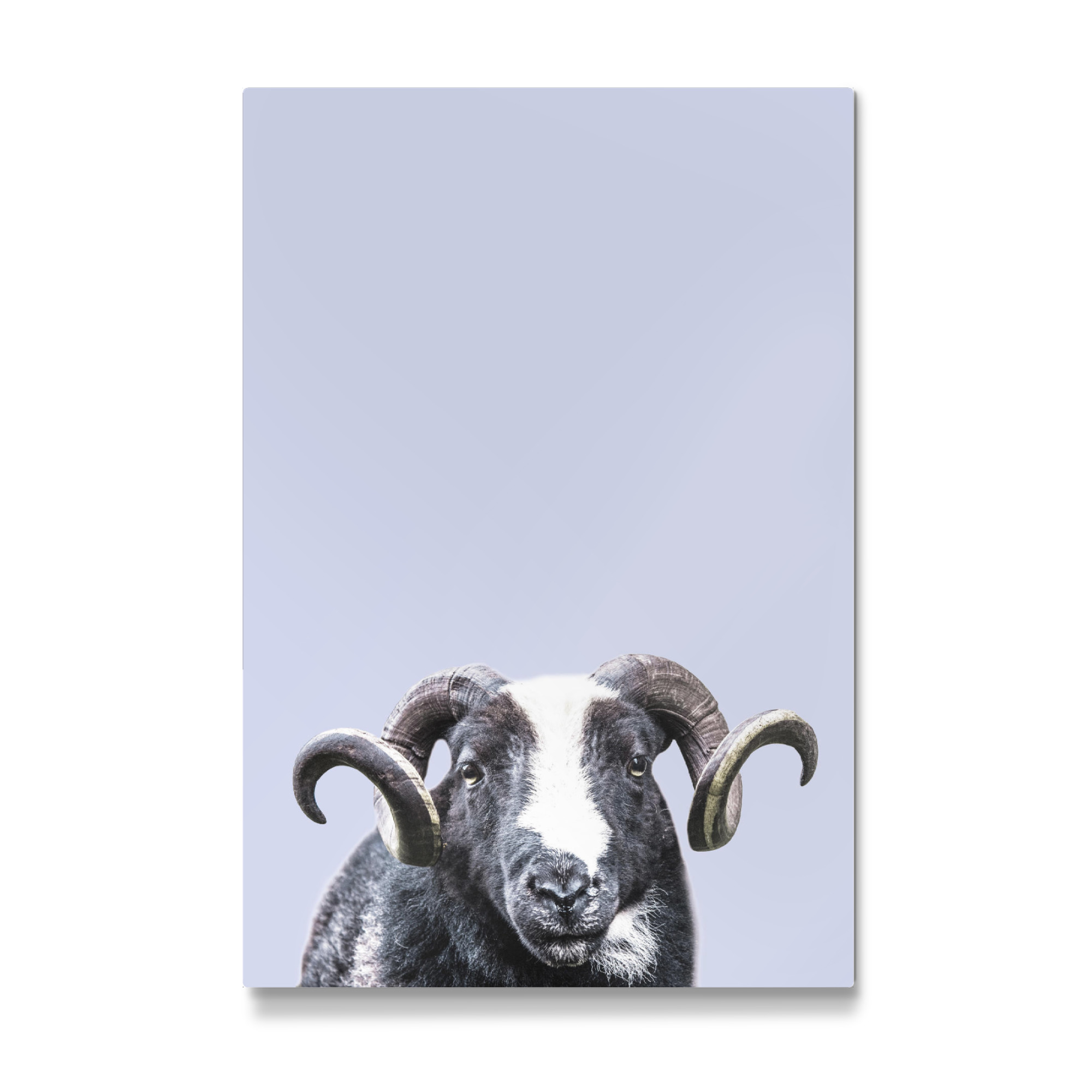 Galerie-Print "Purple R.A.M" 75x50 cm artboxONE