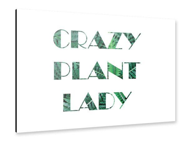 Alu-Dibond "Crazy Plant Lady" 30x20 cm artboxONE