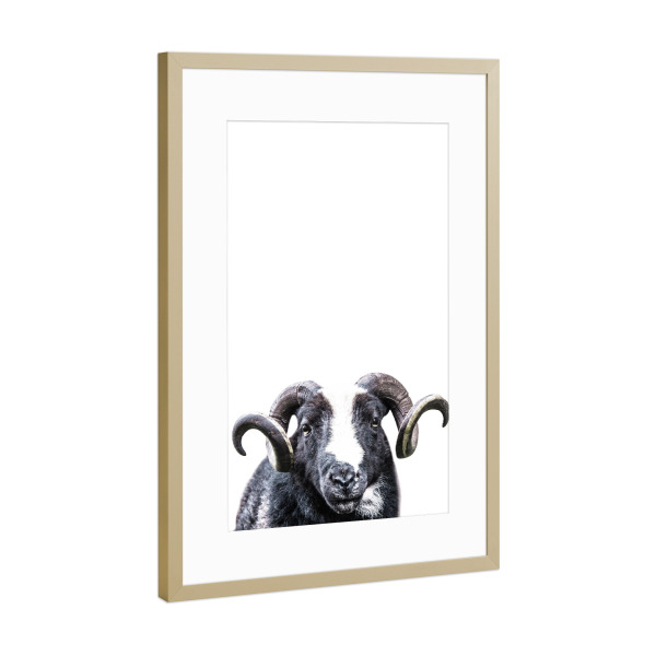 Poster mit Rahmen Gold "R.A.M" artboxONE - Für Kinder,Tiere