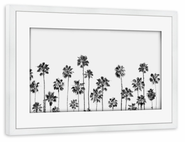 Poster mit Rahmen weiß "Black And White Palms" artboxONE - Natur,Schwarzweiß - Aerial,Nature,Landscape,California,Vibes,Sky,Summer