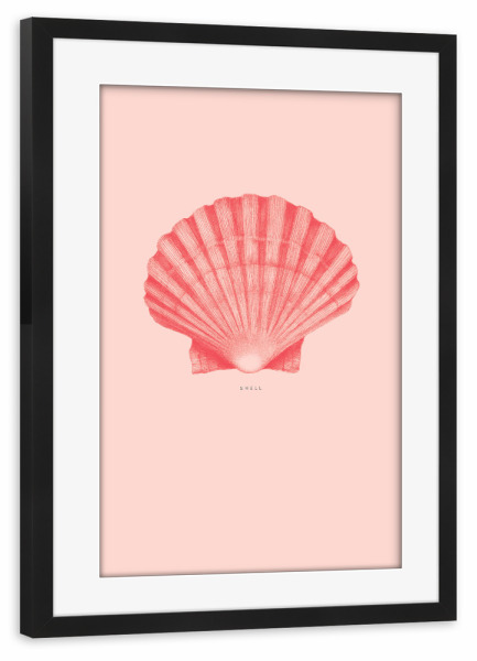 Poster mit Rahmen schwarz "Beautiful shell coral" artboxONE - Natur,Unterwasser