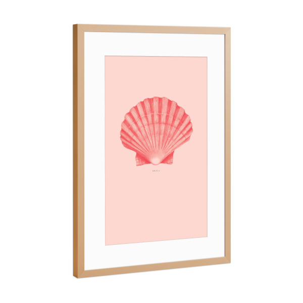 Poster mit Rahmen Kupfer "Beautiful shell coral" artboxONE - Natur,Unterwasser