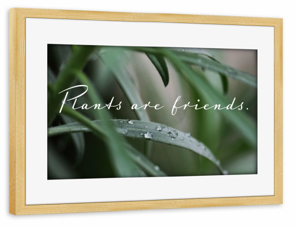 Poster mit Rahmen kiefer "Plants are friends" artboxONE - Typografie,Natur,Floral
