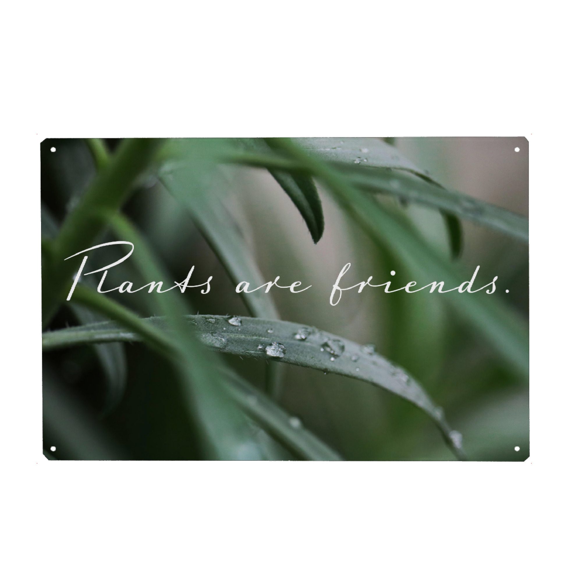 Metall Poster "Plants are friends" artboxONE - Typografie,Natur,Floral - Plantsarefriends,Plants,Typography,Plantlove,Houseplants,Botanicalgarden