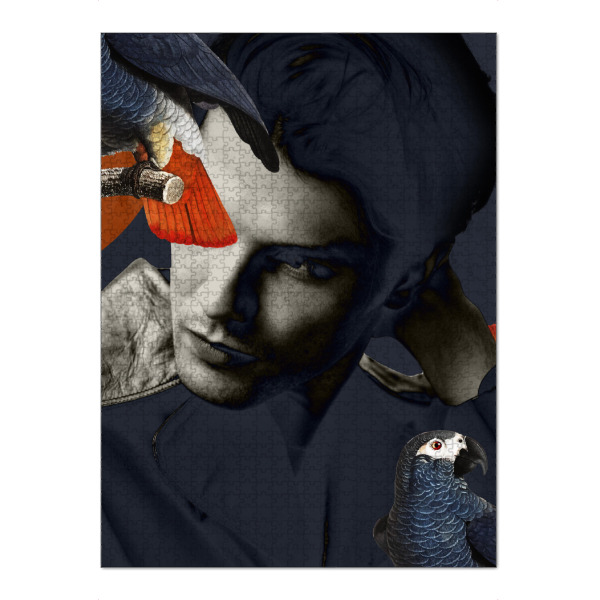 Puzzle Ravensburger "Man Bird Diptych" artboxONE - Menschen - Art,Man,Bird,Parrot,Boy - Bild art