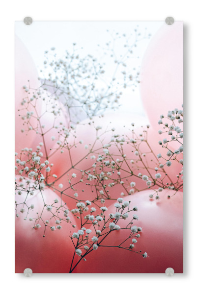 Acrylglasbild "Blooms and Balloons - All of me" artboxONE - Abstrakt - Floral,Luftballons,Rosé,Feminin,Verträumt