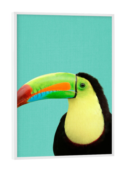 Poster mit weißem Rahmen "Toucan in Blue" artboxONE - Natur,Tiere