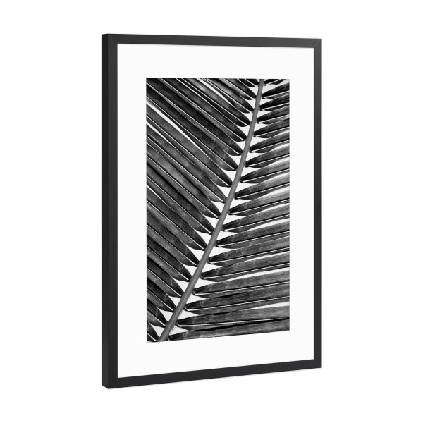 Poster mit Rahmen Schwarz (Metallic) "Palm Leaf Close Up - BW" artboxONE - Natur,Reise
