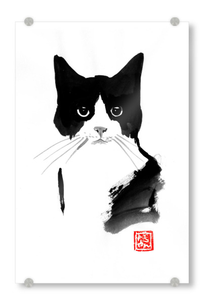Acrylglasbild "Interloqué" artboxONE - Tiere,Schwarzweiß - Cat,Neko,Chat,Katze,Sumie,Japan