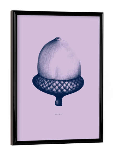 Poster mit schwarzem Rahmen "Beautiful acorn purple" artboxONE - Natur,Für Mama