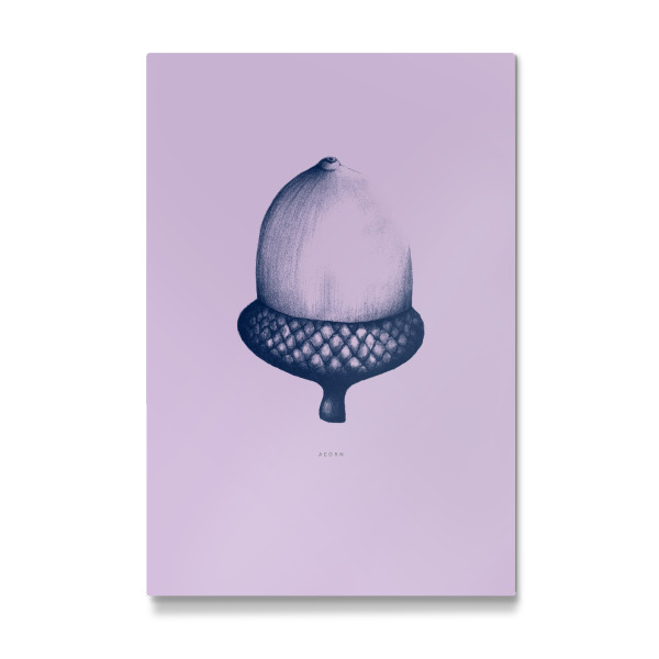 Galerie-Print "Beautiful acorn purple" 30x20 cm artboxONE