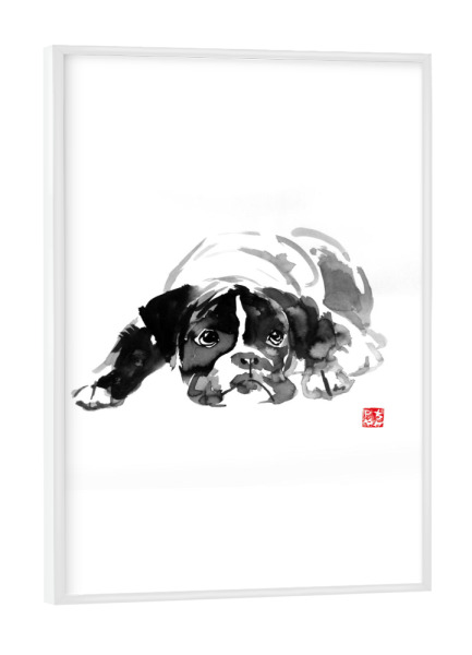 Poster mit weißem Rahmen "Laying bulldog" artboxONE - Tiere,Schwarzweiß - Bulldog,Dog,Carlin,Sumie,Hunde,Chien
