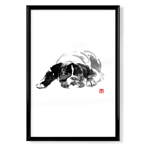 Laying bulldog Laying bulldog