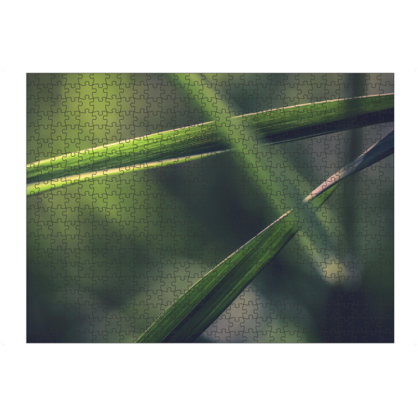 Puzzle Ravensburger "Grass" artboxONE - Natur - Gras,Gräser,Grashalm - Bild gras