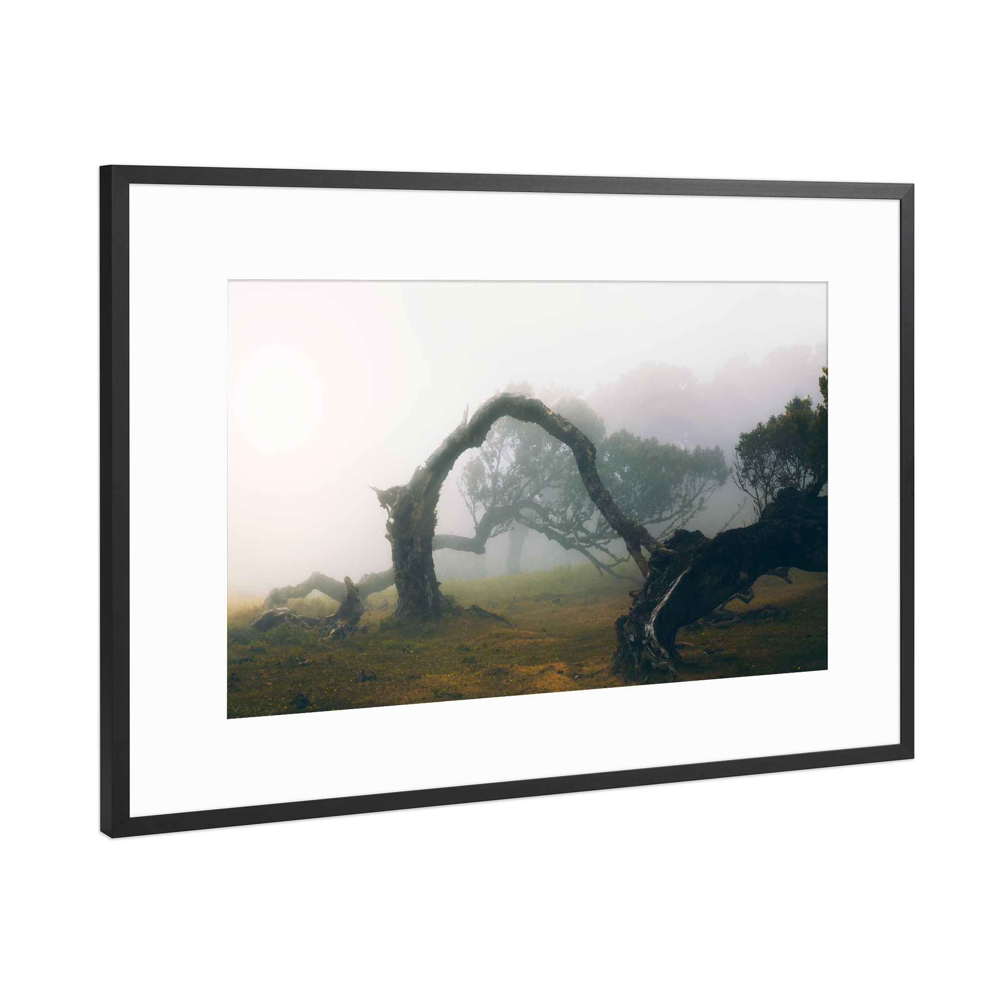 Poster mit Rahmen Schwarz (Metallic) "Moody Forest" artboxONE - Natur,Reise - Madeira,Fog,Forest,Nebel,Fanal,Baum,Trees,Tree,Wald,Mood,Moody,Portugal