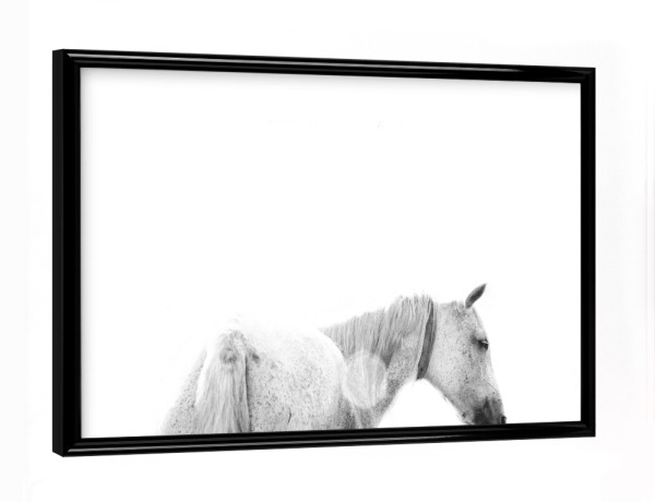 Poster mit schwarzem Rahmen "Horses Back" artboxONE - Natur,Tiere,Schwarzweiß