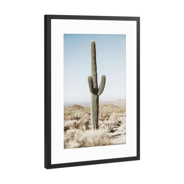 Poster mit Rahmen Schwarz (Metallic) "California Desert" artboxONE - Natur,Reise - California desert,Cactus,Desert