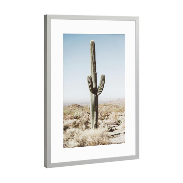 Poster mit Rahmen Silber "California Desert" artboxONE - Natur,Reise - California desert,Cactus,Desert