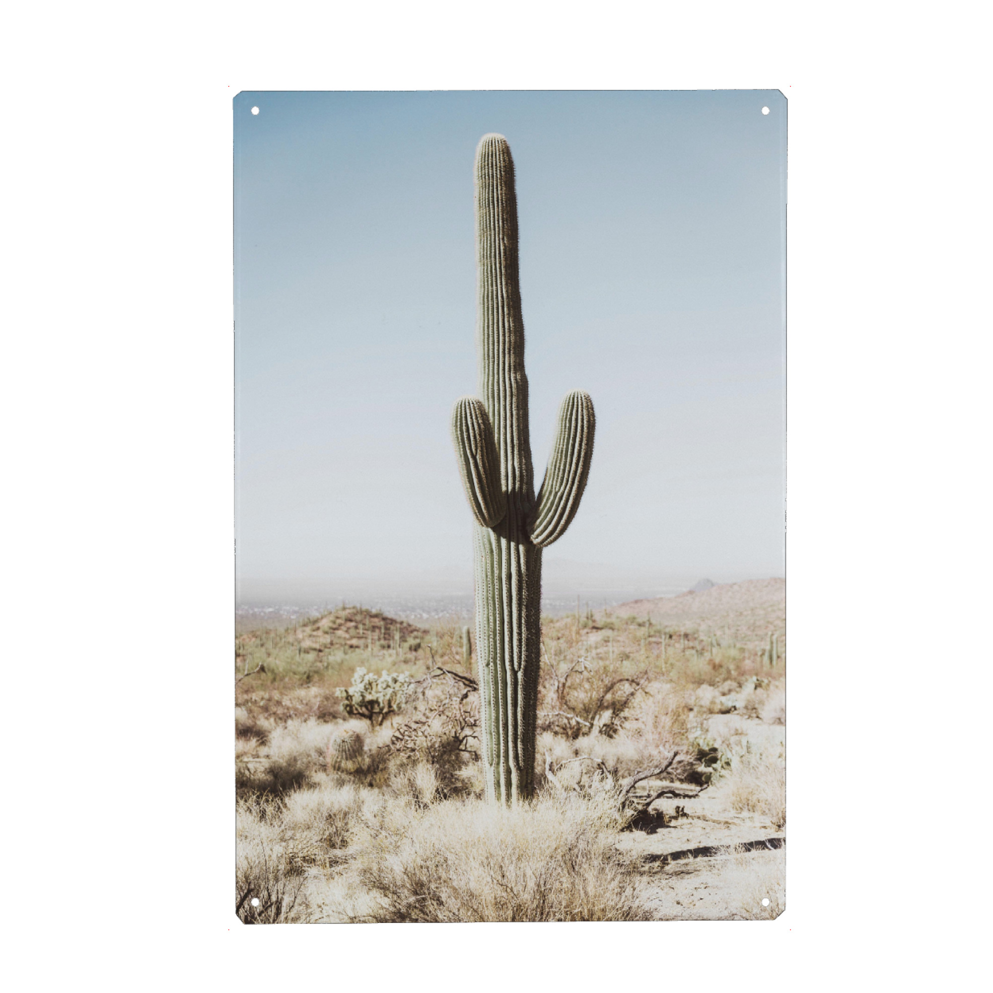 Metall Poster "California Desert" artboxONE - Natur,Reise - California desert,Cactus,Desert - Blechschild