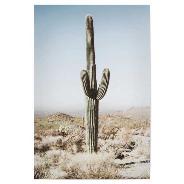 Poster 30x20 cm "California Desert" artboxONE - Natur,Reise - California desert,Cactus,Desert