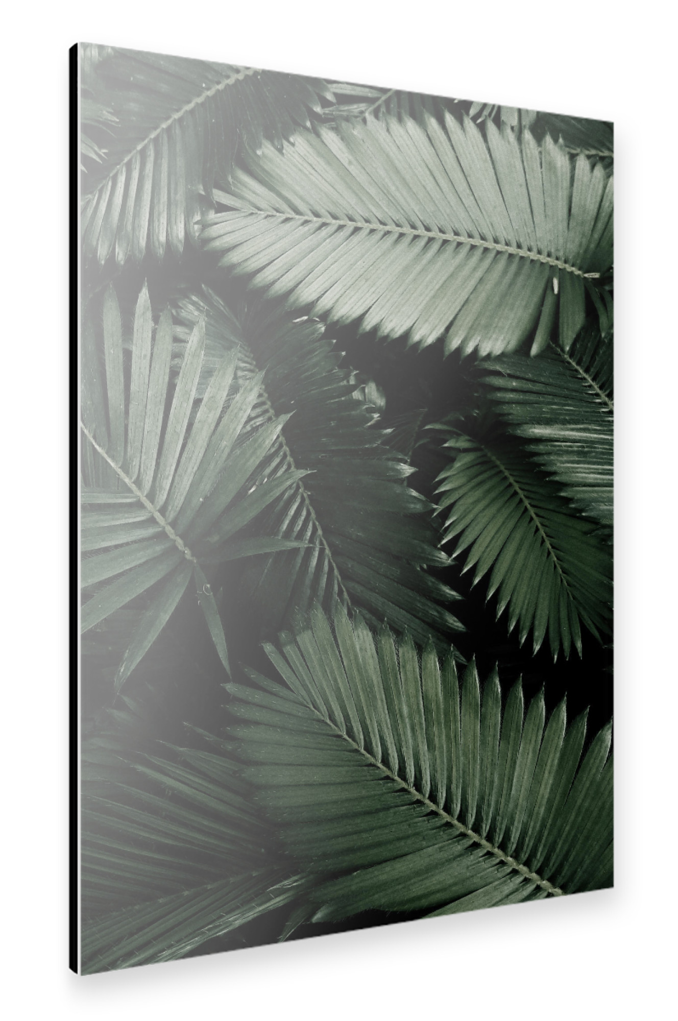 Alu-Dibond "Leaf Tropical" 75x50 cm artboxONE