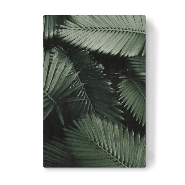 Leinwandbild "Leaf Tropical" artboxONE - Natur - Natural,Folha,Green