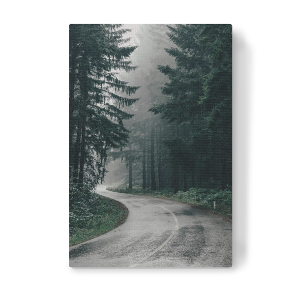 Leinwandbild "Pine Forest Road" artboxONE - Natur,Reise - Pine forest road,Forest,Road,Fog,Foggy,Woods,Pine,Pines