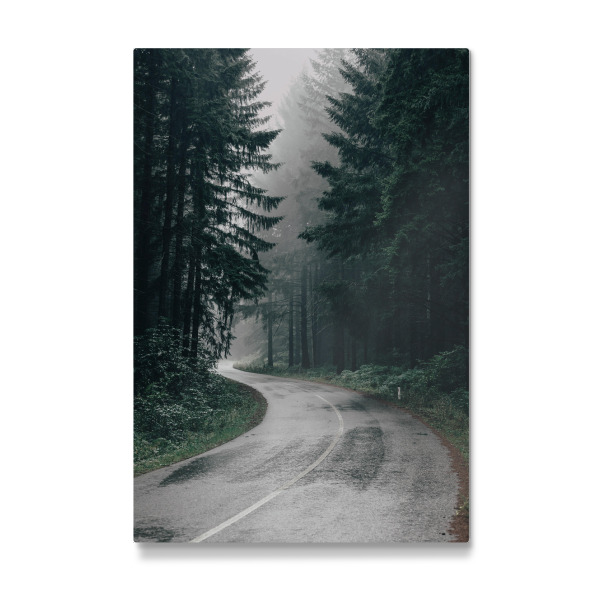 Galerie-Print "Pine Forest Road" 30x20 cm artboxONE
