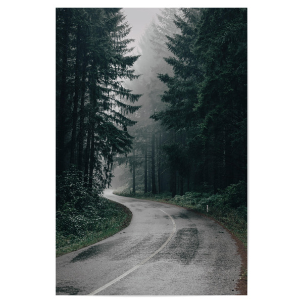 Poster "Pine Forest Road" artboxONE - Natur,Reise - Pine forest road,Forest,Road,Fog,Foggy,Woods,Pine,Pines