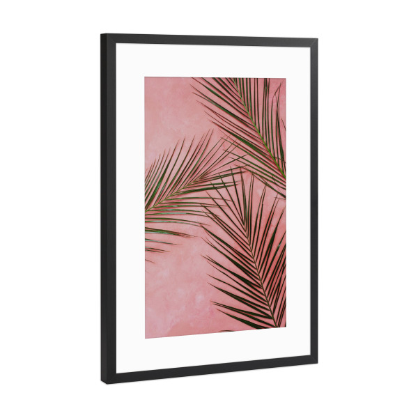 Poster mit Rahmen Schwarz (Metallic) "Palm leaves in Pink Wall" artboxONE - Natur - Palms,Pink