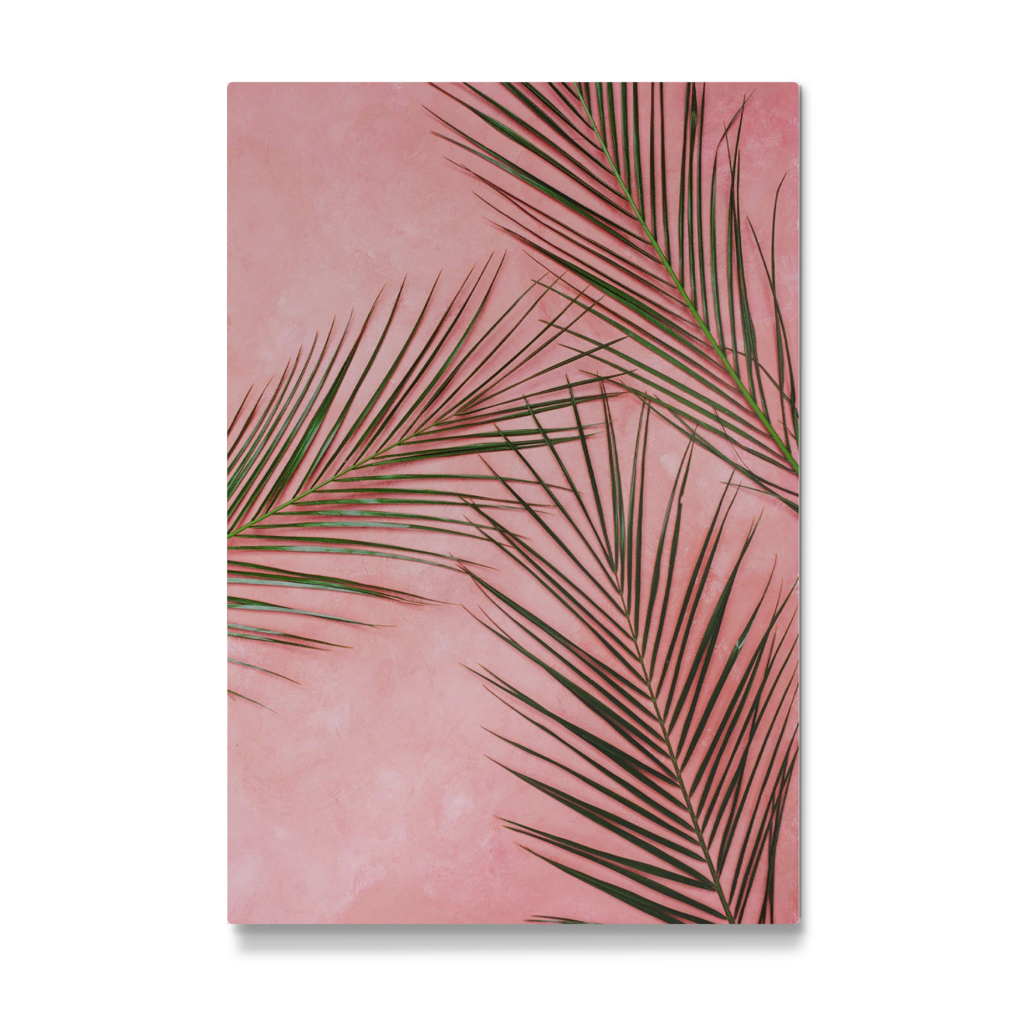 Galerie-Print "Palm leaves in Pink Wall" 30x20 cm artboxONE