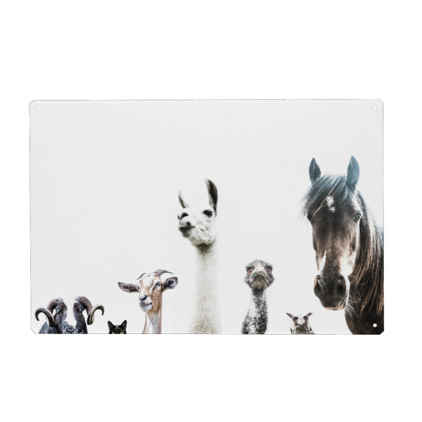 Metall Poster "Fluffy Farm Friends" artboxONE - Natur,Für Kinder,Tiere