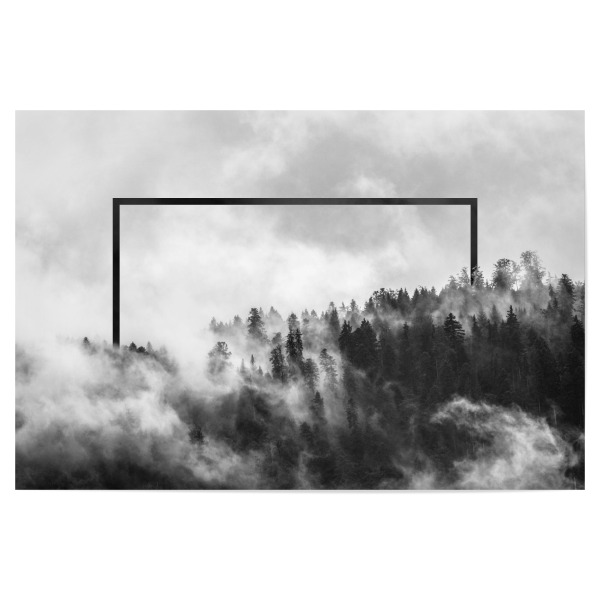 Poster 30x20 cm "Wald mit Nebel am Morgen" artboxONE - Natur,Schwarzweiß - Bäume,Nebel,Mysthisch