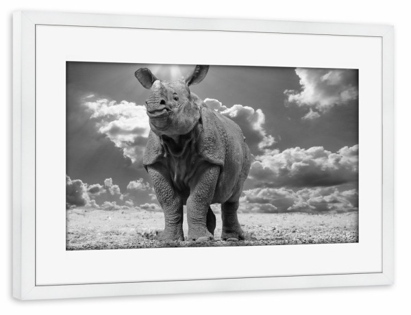 Poster mit Rahmen weiß "Spitzmaul Nashorn mit Wolken" artboxONE - Tiere,Schwarzweiß,Reise / Afrika - Nashorn,Spitzmaul nashorn,Afrika,Rhino,Animal
