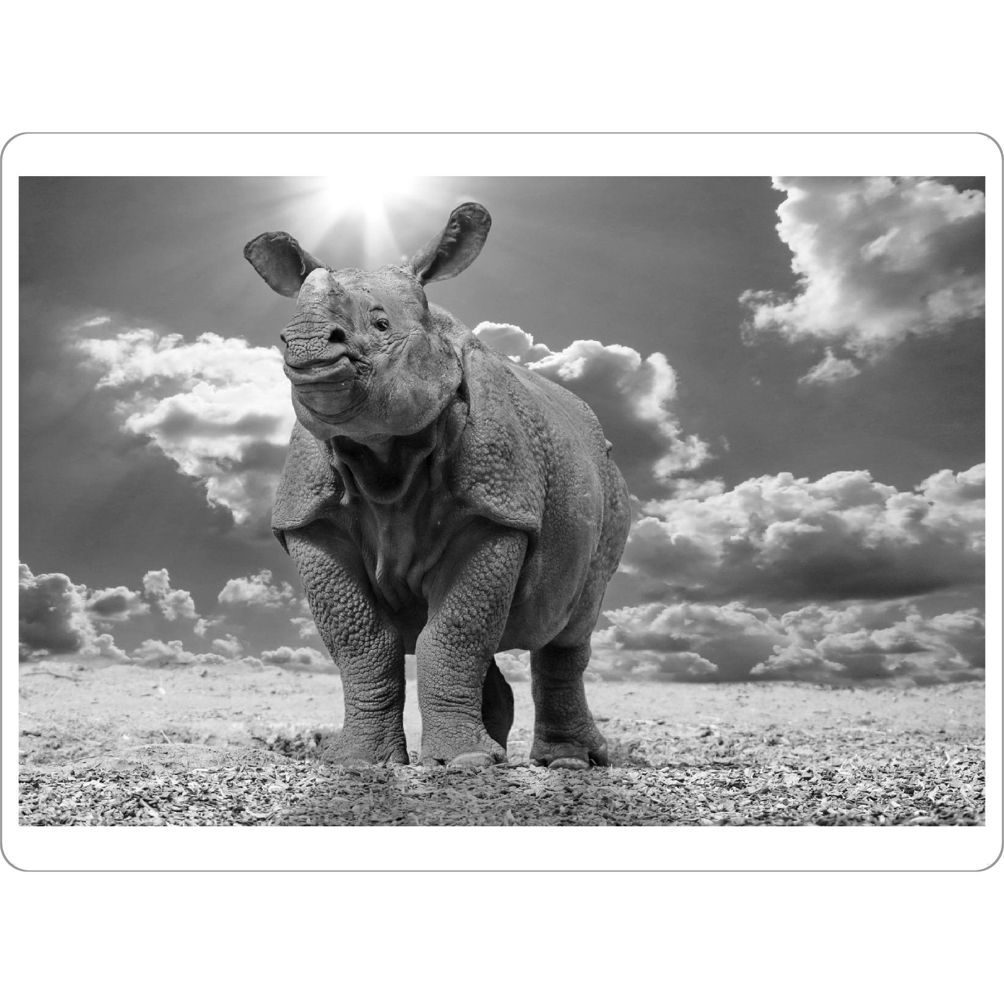 Tischset "Spitzmaul Nashorn mit Wolken" artboxONE - Tiere,Schwarzweiß,Reise / Afrika - Nashorn,Spitzmaul nashorn,Afrika,Rhino,Animal - Bild nashorn