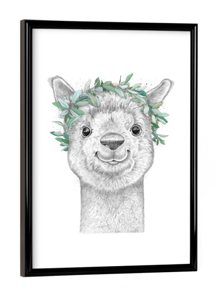 Poster mit schwarzem Rahmen "Alpaca with wreath" artboxONE - Tiere,Schwarzweiß - Alpaca,Lama