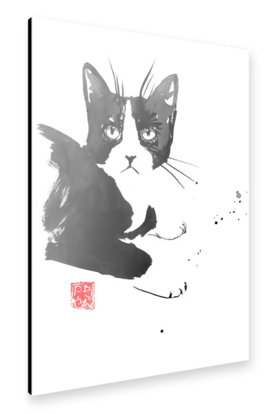 Alu-Dibond "Grumpy laying cat" 30x20 cm artboxONE