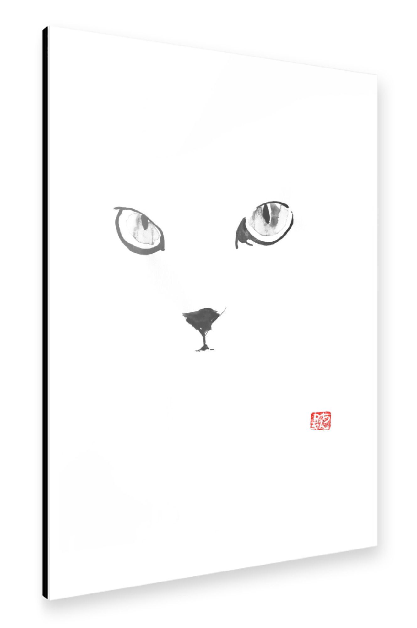 Alu-Dibond "Cat in white eyes" 30x20 cm artboxONE