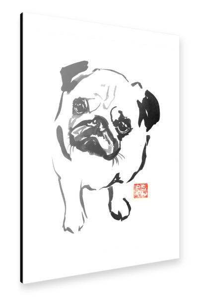 Alu-Dibond "Bulldog down" 30x20 cm artboxONE