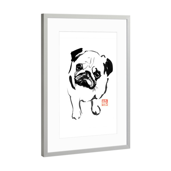Poster mit Rahmen Silber "Bulldog down" artboxONE - Tiere,Schwarzweiß - Bulldog,Dog,Sumie