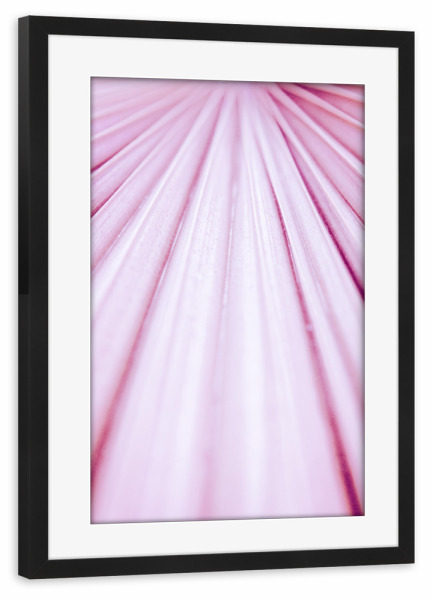 Poster mit Rahmen schwarz "Pink Palm Leaf" artboxONE - Natur,Floral,Für Mama