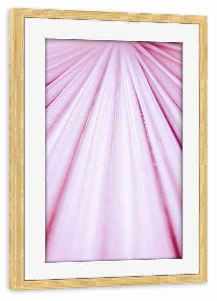 Poster mit Rahmen kiefer "Pink Palm Leaf" artboxONE - Natur,Floral,Für Mama