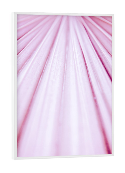 Poster mit weißem Rahmen "Pink Palm Leaf" artboxONE - Natur,Floral,Für Mama